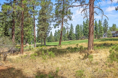 0 Merganser Rd unit 62 220204871, Klamath Falls, OR 97601 - photo 5