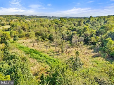 0 Cedar Creek Grade unit VAFV2036934, Winchester, VA 22602 - photo 4