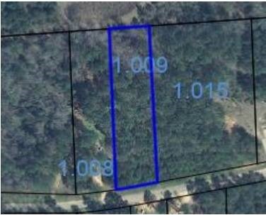 unlisted-address, Ozark, AL 36360 - photo 3