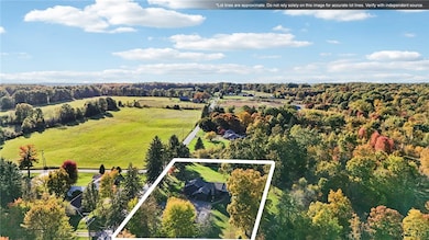 557 Wilson Mill Rd, New Wilmington, PA 16142 - photo 6