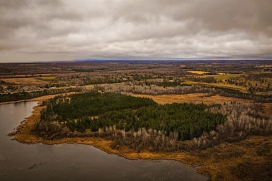 TBD 141st Ave, Bagley, MN 56621 - photo 3