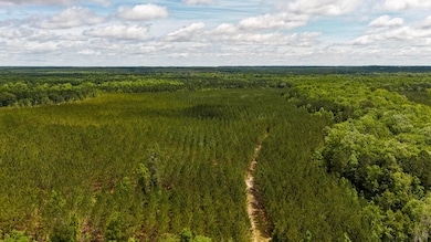 Old CC Road SC Land for Sale-03