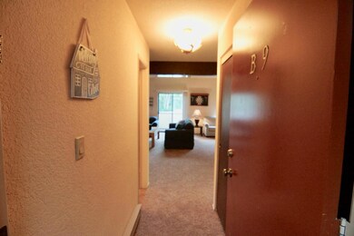 102 S Alpine unit B9, Brian Head, UT 84719 - photo 4