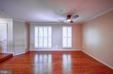 729B Massey Ln unit 100, Alexandria, VA 22314 - photo 5