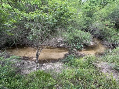 TBD NW County Road 274, Altha, FL 32421 - photo 4