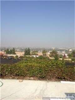 View from Backyard
