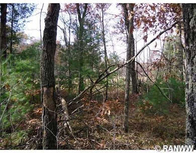 0 Fish Lake Rd unit 895470, Siren Township, WI 54872 - photo 4