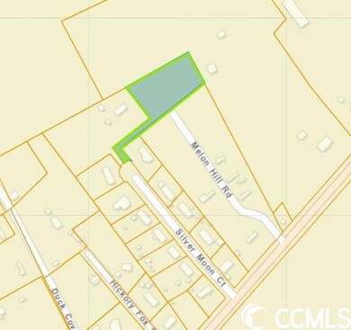 TBD Silver Moon Ct unit 1.22+/- Acres, Conway, SC 29526 - photo 3