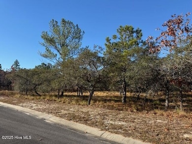 495 Antilla Dr SE, Bolivia, NC 28422 - photo 2