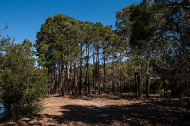 Longmarsh-3
