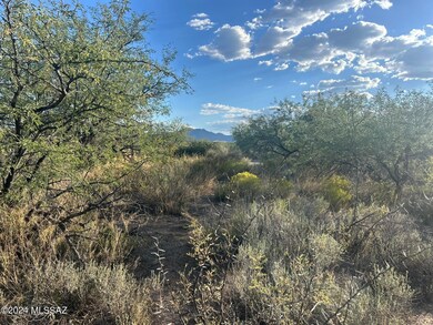 lush desert