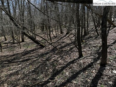 TBD Saddle Rd, Boone, NC 28607 - photo 5