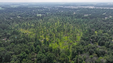 44.59 Acres Brilowski Rd, Stevens Point, WI 54482 - photo 6