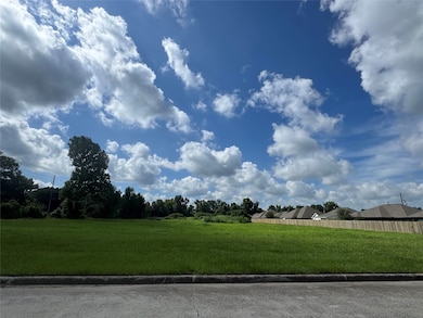 0 S Winfree unit 896568, Dayton, TX 77535 - photo 6