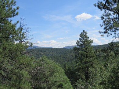 0 Gallinas Pkwy unit Parcel E5 18-1275, Trinidad, CO 81082 - photo 4