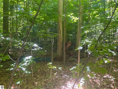 0 Horn Beam Ct, Cedar, MI 49621 - photo 3