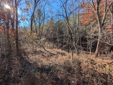 169 Volunteer Ln, Old Fort, TN 37362 - photo 5