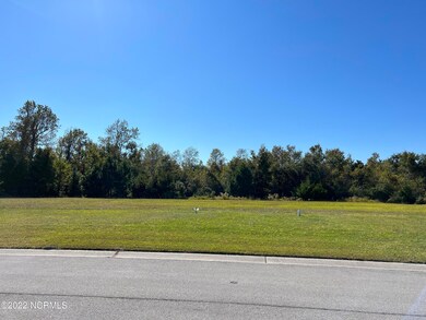 506 Boneset Park, Holly Ridge, NC 28445 - photo 3