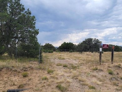 Lot 896 Los Vaqueros Cir, Walsenburg, CO 81089 - photo 3