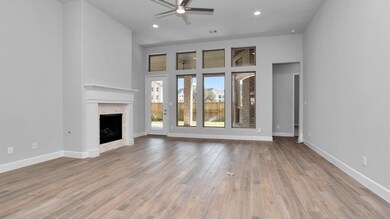 24323 Norwood Groves Dr, Richmond, TX 77469 - photo 3