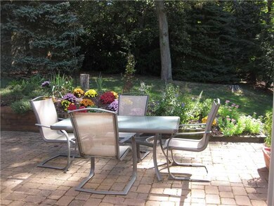 Yard/Garden.