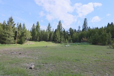 IMG_0787