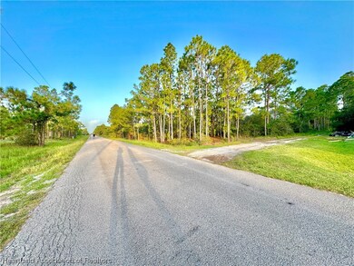 350 Jack Weisser Blvd, Lake Placid, FL 33852 - photo 3