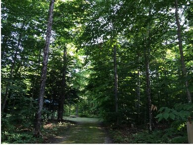 Driveway to 10 acres