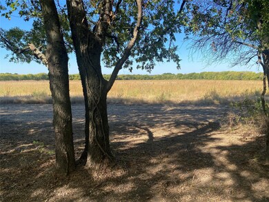 Lot 4 County Rd 4045, Ector, TX 75439 - photo 6