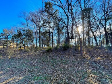 Lot 8A S Oakmont Ct, Gordonville, TX 76245 - photo 5