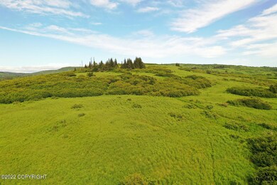 Alaskan Wildwood Ranch(r) P2 (6)