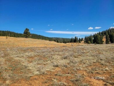 520 N Grassy Trail, Duck Creek Village, UT 84762 - photo 2