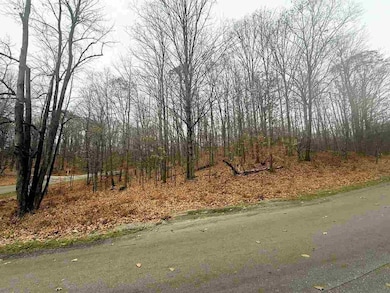 Lot 57 Valley Run Rd unit 57, Custer Township, MI 49615 - photo 3