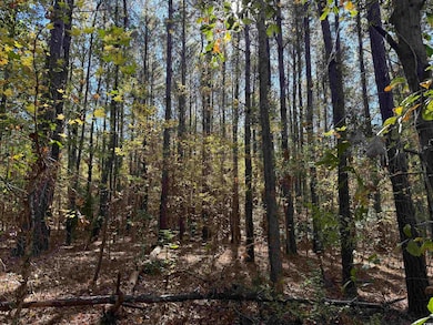 793 Puncheon Creek Dr, Andrews, SC 29510 - photo 3