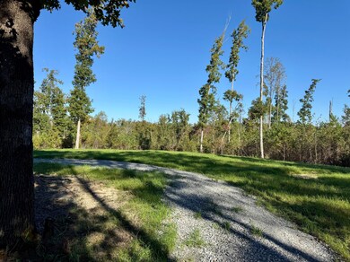 7900 Brooksie Thompson Rd, Bath Springs, TN 38311 - photo 2