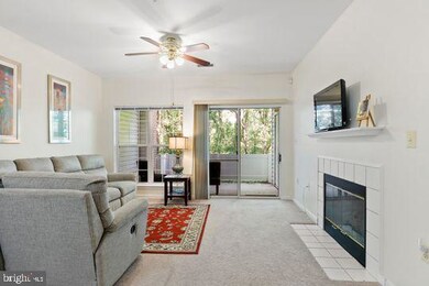 5103 Wagon Shed Cir, Owings Mills, MD 21117 - photo 6