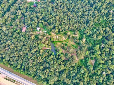 15824 Kropik Rd, Conroe, TX 77306 - photo 5