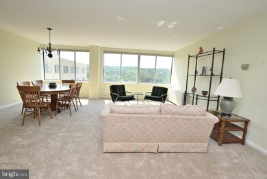 River Towers unit 903, Alexandria, VA 22307 - photo 5