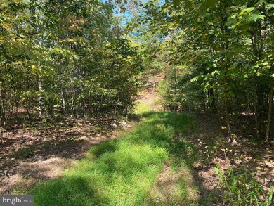 Lot 15 Jermikey Ct, Hedgesville, WV 25427 - photo 4