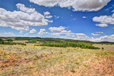 59 Pelican Place, Como, CO 80432 - photo 4