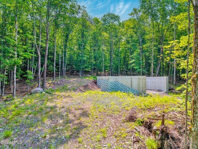 TBD Boulder Brook Rd unit Lot  11, Windham, NY 12496 - photo 3