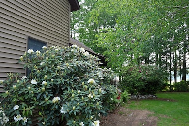 Yard 3 (1)