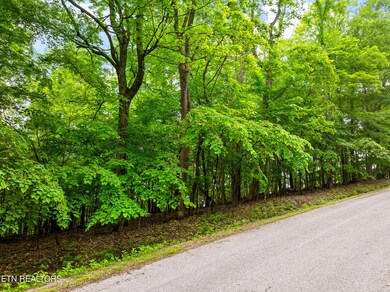 Running Deer Trail Lot-2