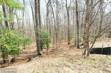 10410 Dominion Valley Dr, Fairfax Station, VA 22039 - photo 2