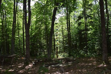 203 Minor Rd, Wilmington, VT 05363 - photo 4