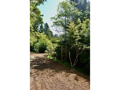 94324 Coldiron Hill Rd, Gold Beach, OR 97444 - photo 4