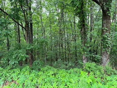 0 W Nettleton Ave, Jonesboro, AR 72401 - photo 5