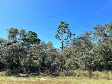 0 Woodstork Way unit MFRL4957348, Frostproof, FL 33843 - photo 2