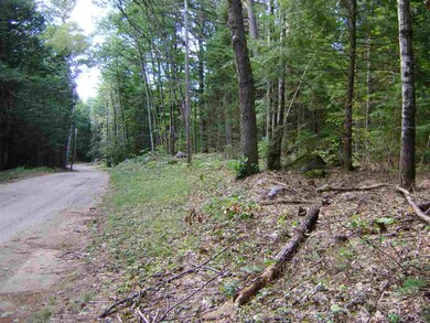 00 Berndorf unit 25.1, Moultonborough, NH 03254 - photo 2