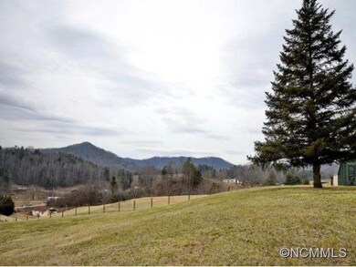 46 Noland Hills Dr, Leicester, NC 28748 - photo 3